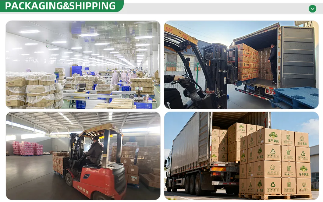 Premium Kosher-Certified Freeze Dried Apples for Wholesale Distribution