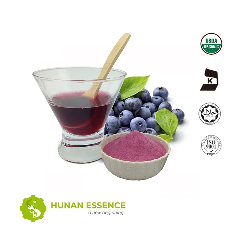 Hot Sale, High Quality, Natural Organic, Powder, Food Grade Blueberry Powder