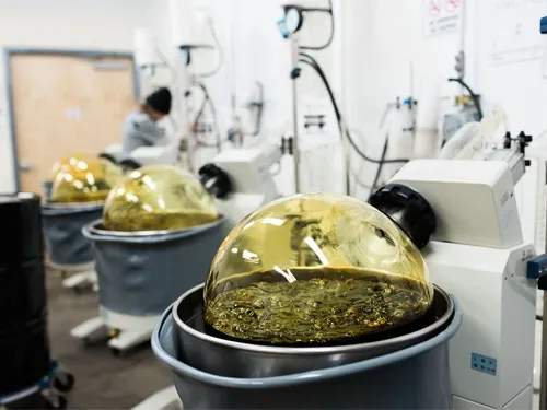 Hot Sale, High Quality, Natural Organic, Powder, Food Grade Blueberry Powder