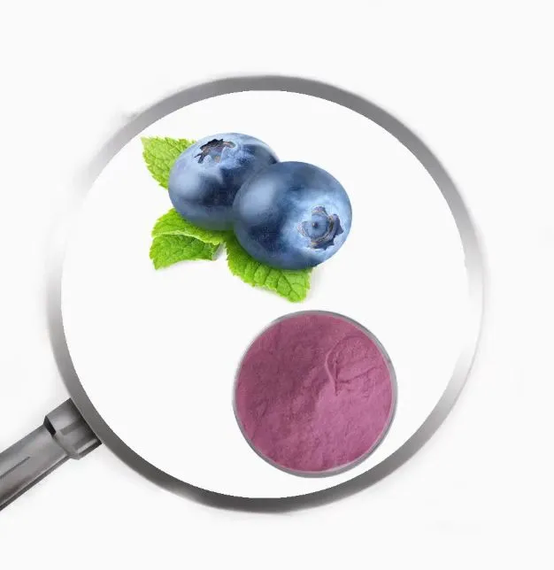 Hot Sale, High Quality, Natural Organic, Powder, Food Grade Blueberry Powder