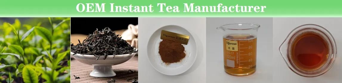 Best Price Good Solubility Free Smple Cold Soluble Tea Powder Instant Black Tea Extract Powder for Beverage