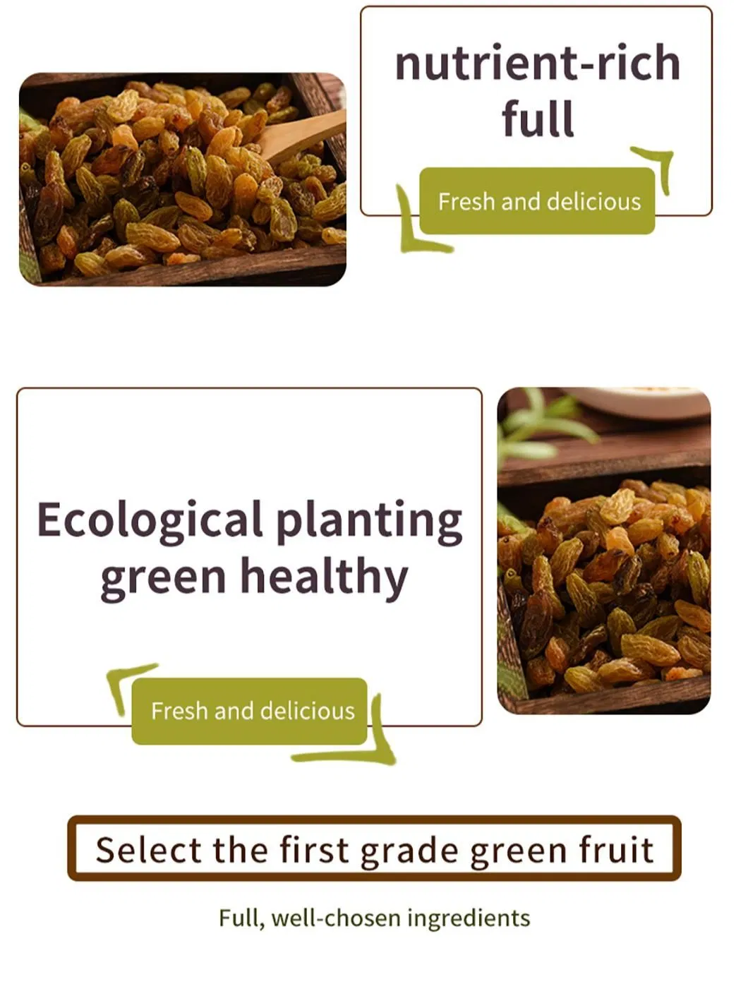 Natural Green Dry Fruit Raisins All Types of Dried Raisins