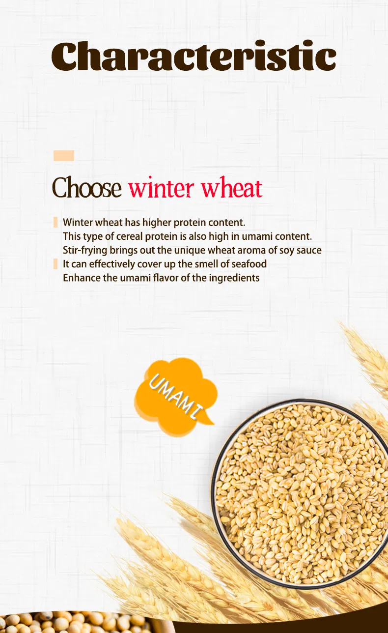 Japan Mini Cuisine Snack Seafood Ramen Miso Condiment Packets Soy Sauce