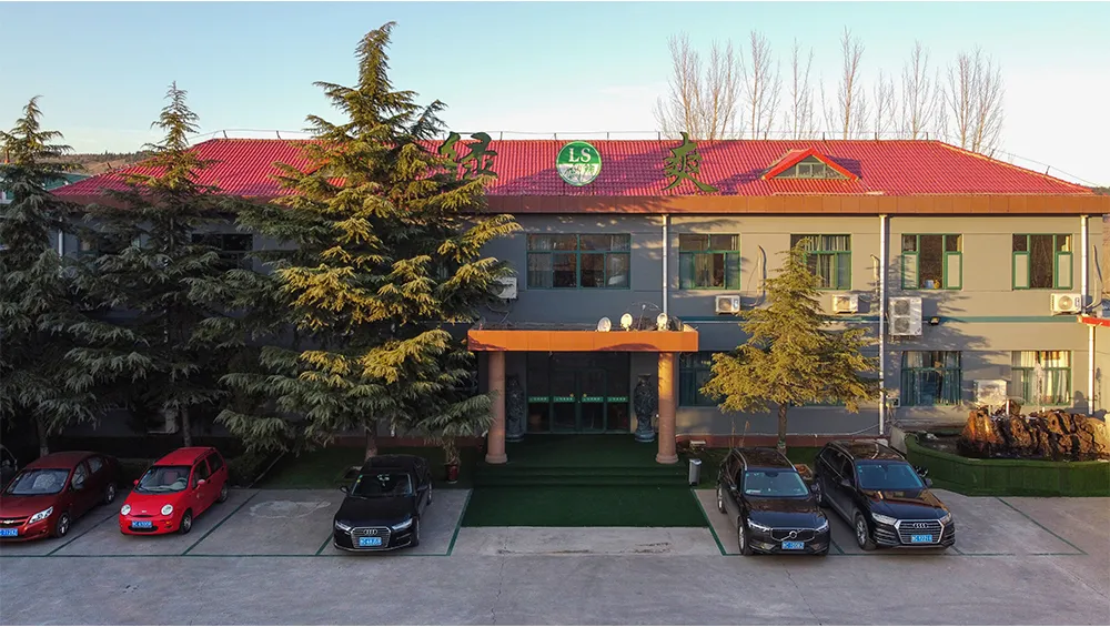 Ramen Noodles Hand Made Ramen Loe Price Wholesale Dried Noodles