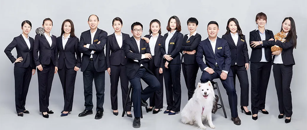 Hebei Chicken Strips Pet Treats 100g MOQ: 300kg OEM/Petideal