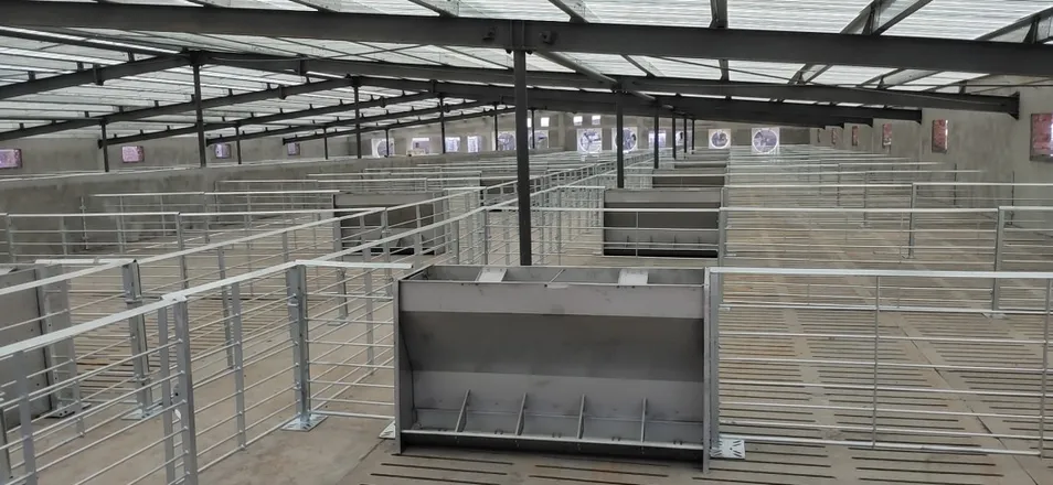 European Style Waterproof Pig Isolation Pens for Farm Use