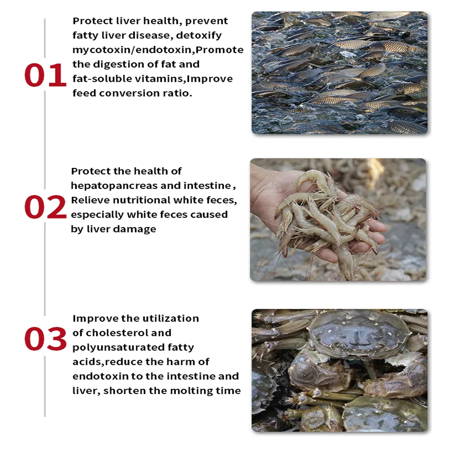 95% Bile Acid Shrimp Feed Additive Improves Feed Conversion Rate Improves Shrimp Fcr Bile Acid