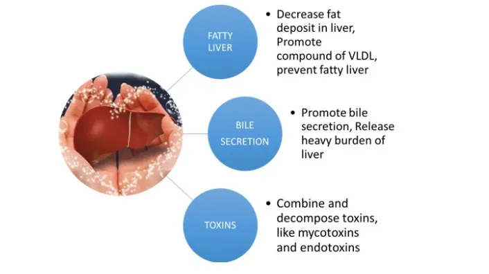 95% Bile Acid Shrimp Feed Additive Improves Feed Conversion Rate Improves Shrimp Fcr Bile Acid