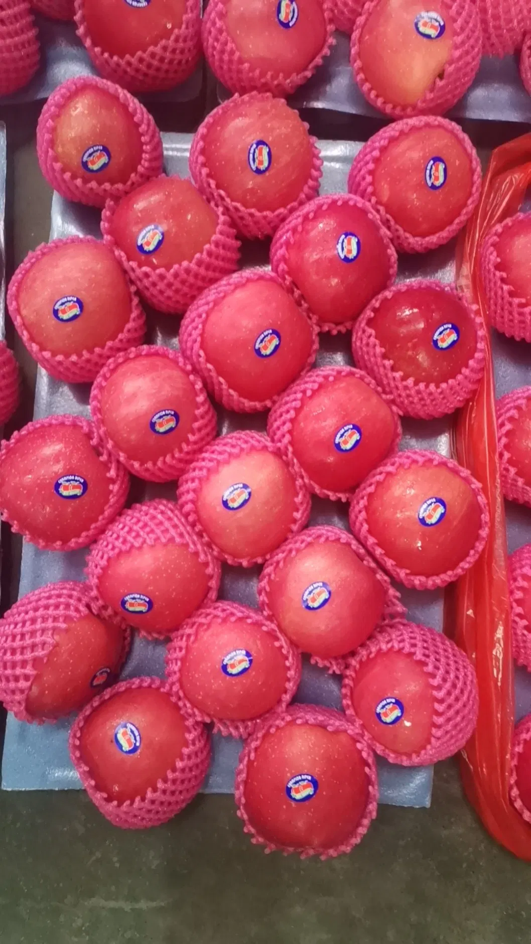 New Crop Wholesale OEM Preserved Fresh Red Delicious Star Full Blush FUJI Huaniu Apple