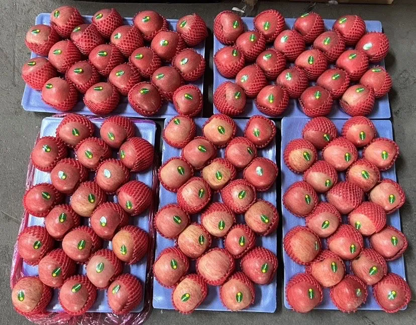 New Crop Wholesale OEM Preserved Fresh Red Delicious Star Full Blush FUJI Huaniu Apple