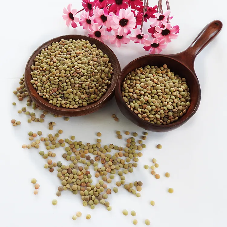 Chinese Lentils Low Price Green Lentils and Pulses