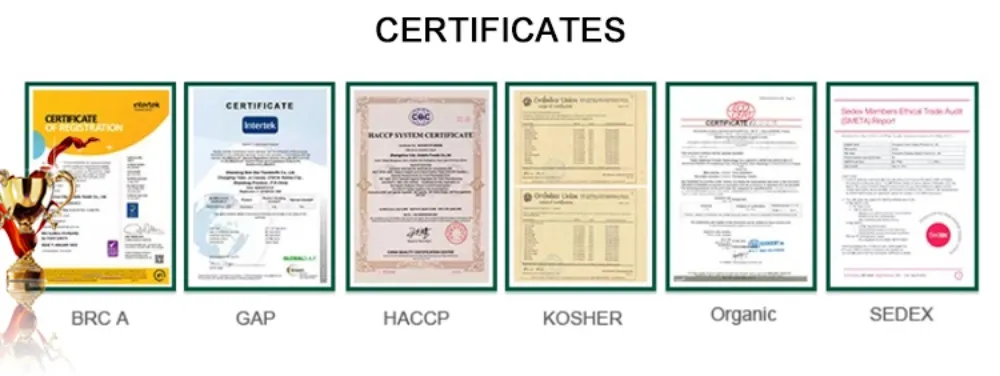 Competitively Price New Season IQF Frozen Vegetables White Onion Dices