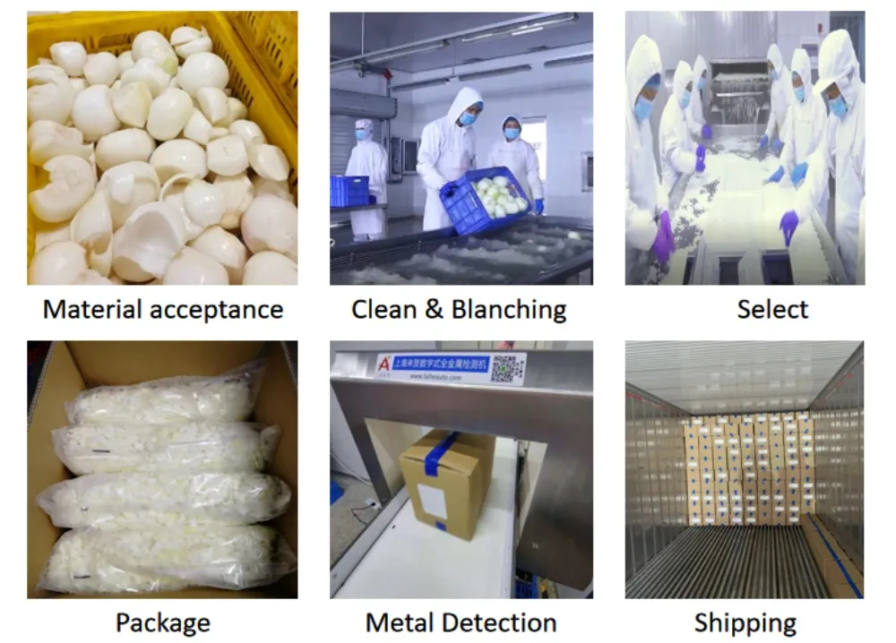 Competitively Price New Season IQF Frozen Vegetables White Onion Dices