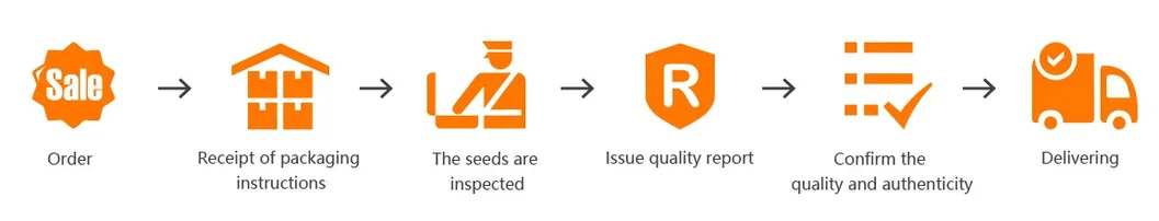 Hybrid F1 Net Hami Melon Seeds with Orange Flesh for Sowing