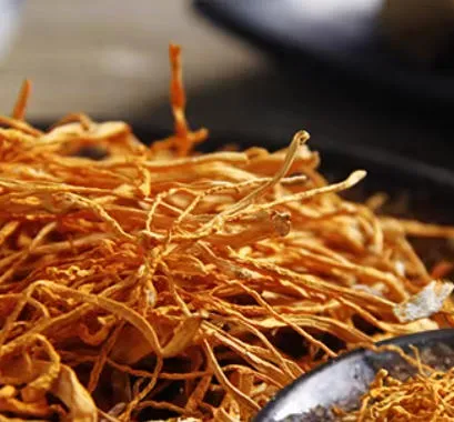 Sweet & Tender Cordyceps Flower - Dried Edible Fungi for Soup & Stew