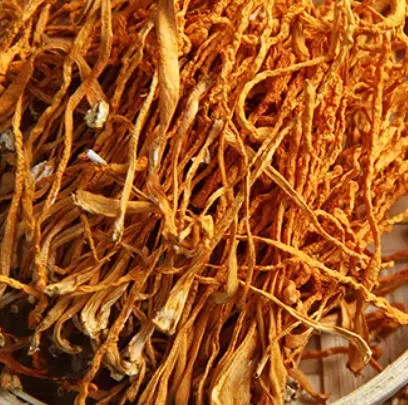 Sweet & Tender Cordyceps Flower - Dried Edible Fungi for Soup & Stew