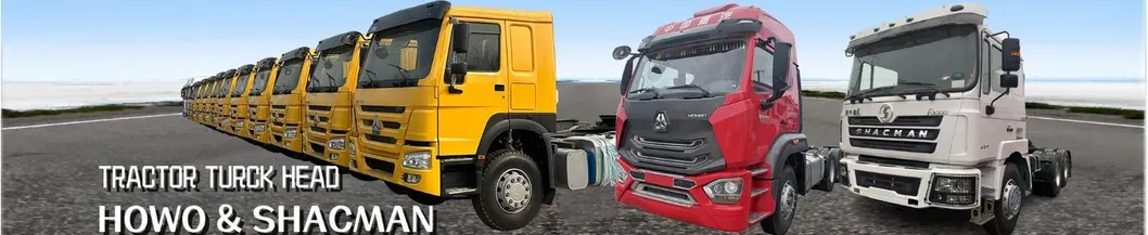 Used Hot Sale Heavy Truck Head Tractor Truck Shacman Trailer Head 6X4