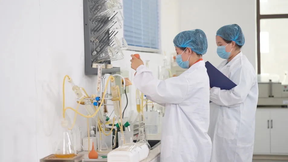 Attingberg Low-Cost Premium Craft Beer - German Style Ale