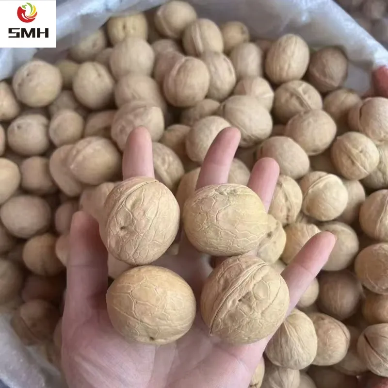 Wholesale/Distribution Dried Walnut in Shell From China