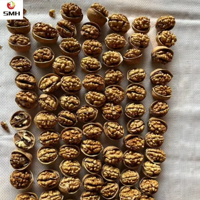 Wholesale/Distribution Dried Walnut in Shell From China