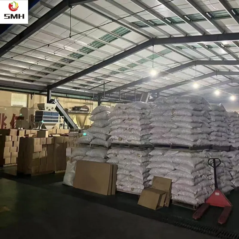 Wholesale/Distribution Dried Walnut in Shell From China