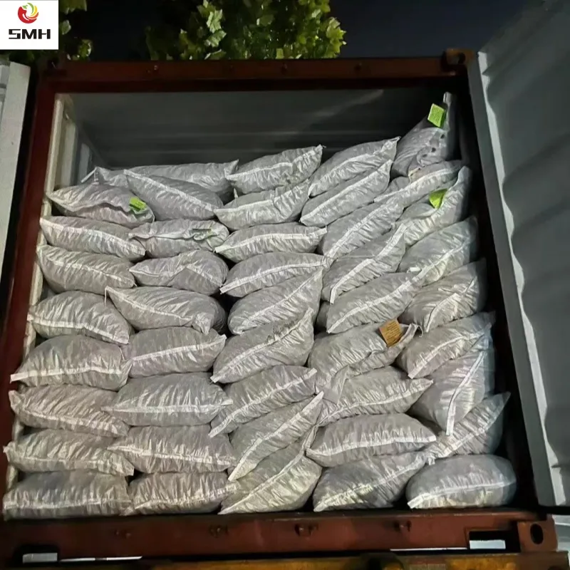 Wholesale/Distribution Dried Walnut in Shell From China