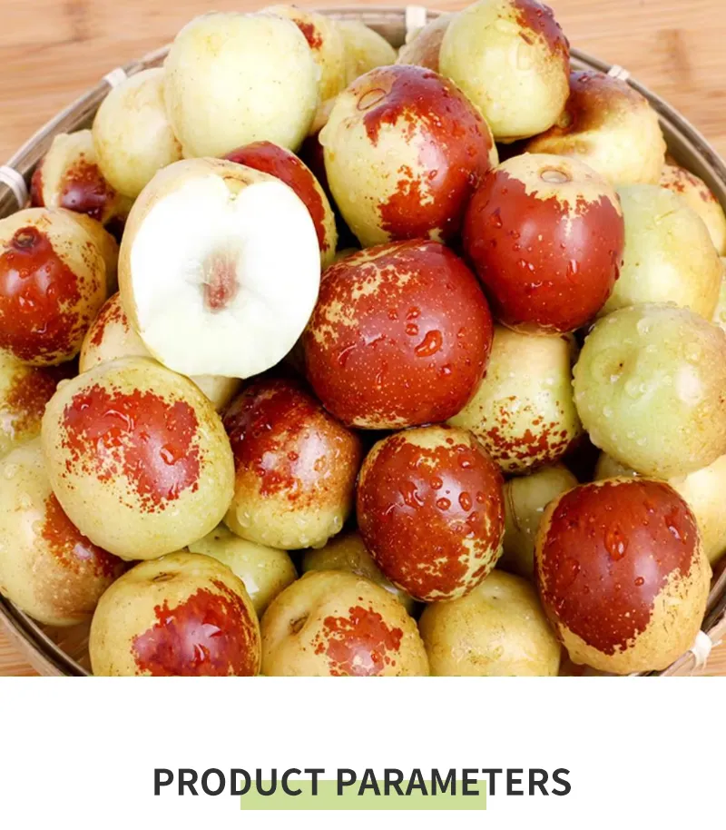 Excellent Quality Fresh Sweet Apple Dates Fresh Jujube Fruits Winter Jujube