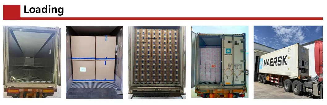 Premium Halal Frozen Chicken Breasts with Skin for Gourmet Cooking