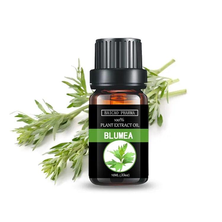 Natural Mugwort Leaf Oil Artemisia Oil Essential Oil