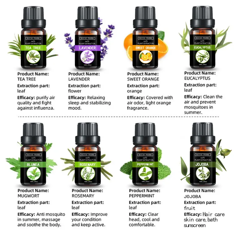 Natural Mugwort Leaf Oil Artemisia Oil Essential Oil