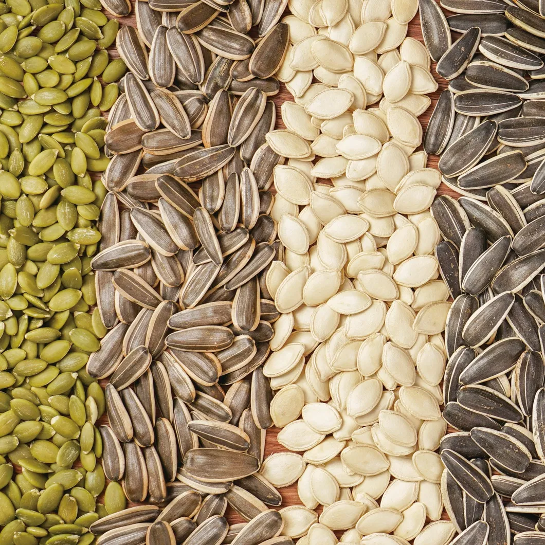 2023 New Crop Shine Skin Pumpkin Seeds High Quality