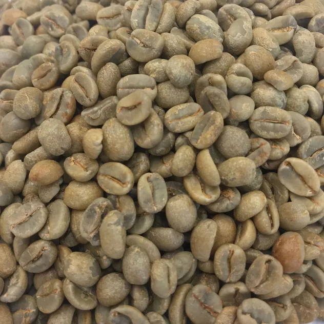 Yunnan Coffee Planting Base Supply Yunnan Green Arabica Coffee Beans
