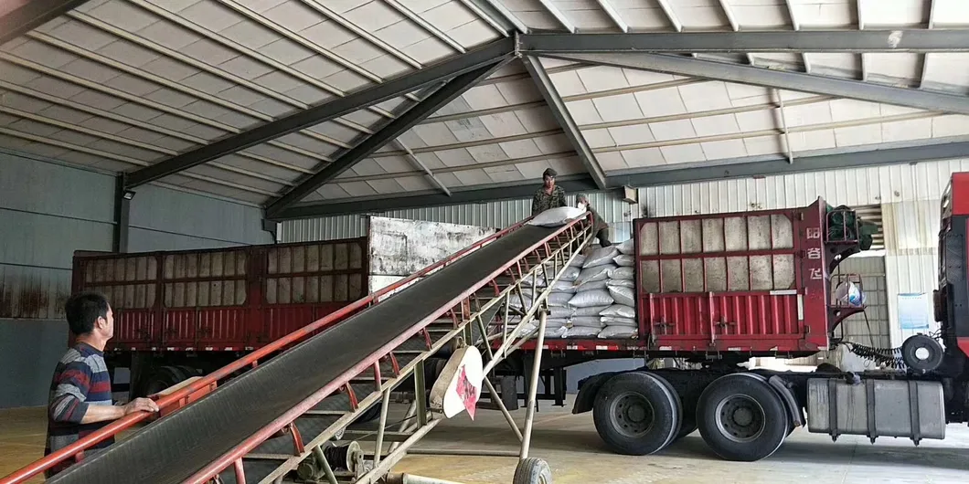 Choline Chloride 60% Corn COB Factory Price