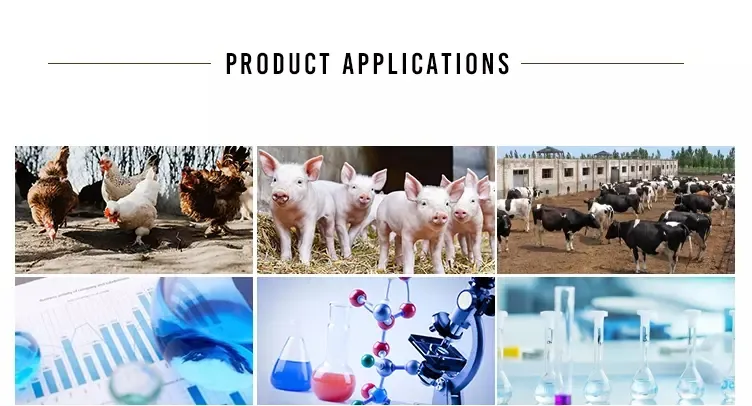 Choline Chloride 60% Corn COB Factory Price