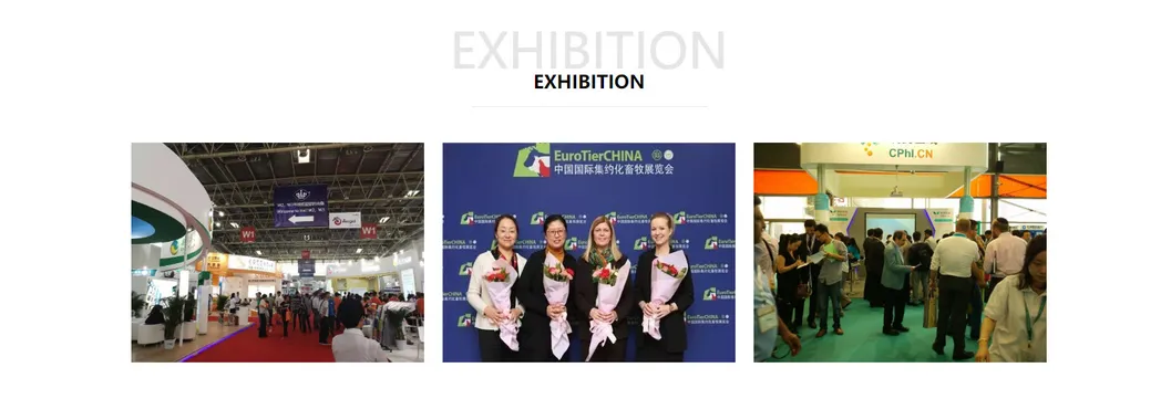 Choline Chloride 60% Corn COB Factory Price