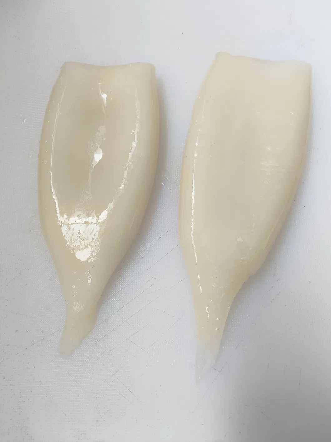 Frozen Squid Tube, Todarodes Pacificus