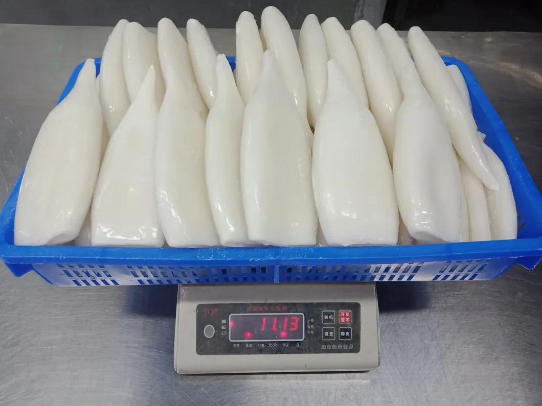 Frozen Squid Tube, Todarodes Pacificus