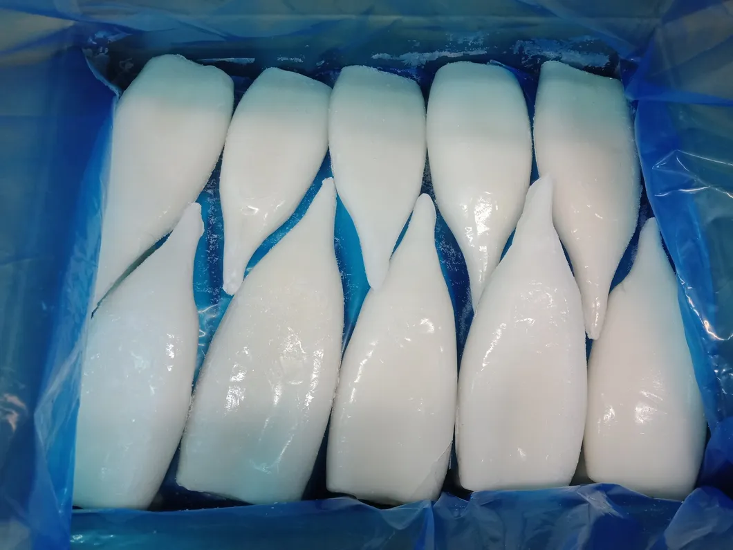 Frozen Squid Tube, Todarodes Pacificus