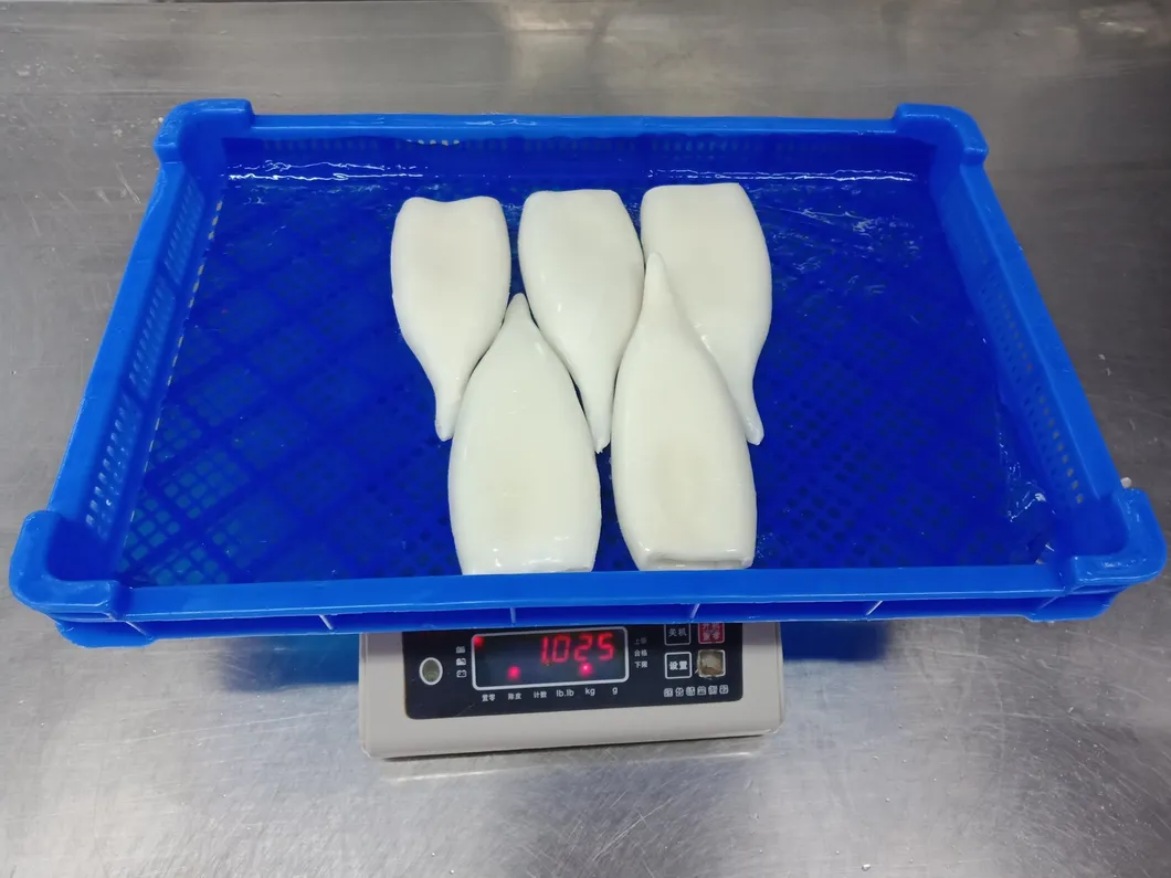 Frozen Squid Tube, Todarodes Pacificus