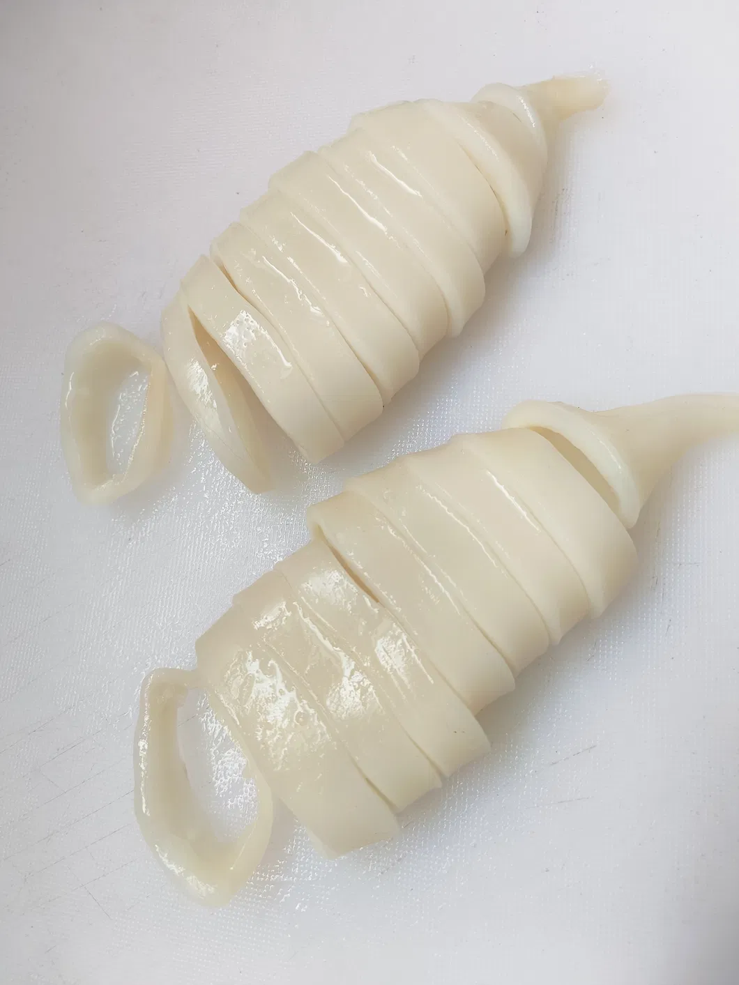 Frozen Squid Tube, Todarodes Pacificus