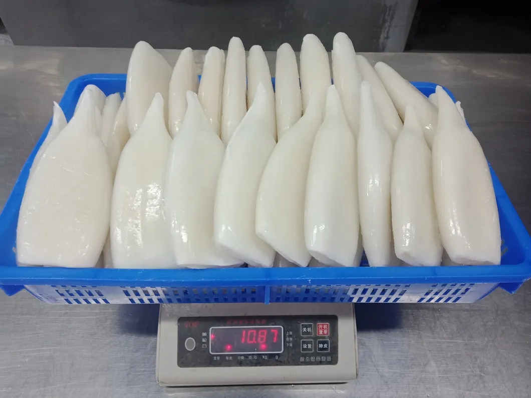 Frozen Squid Tube, Todarodes Pacificus