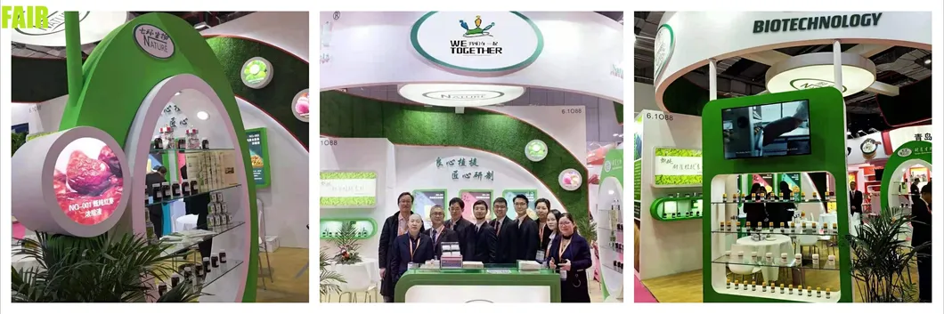 Soft Ice Cream, Hard Ice Cream, Popsicle Ice Cream, Flavor Ice Cream, Ice Cream Powder for Producing Ice Cream