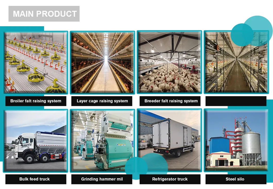 Customizable and Affordable Chicken House Automatic Nipple Water/Drinking Line for Broilers/Layers Hen/Breeders