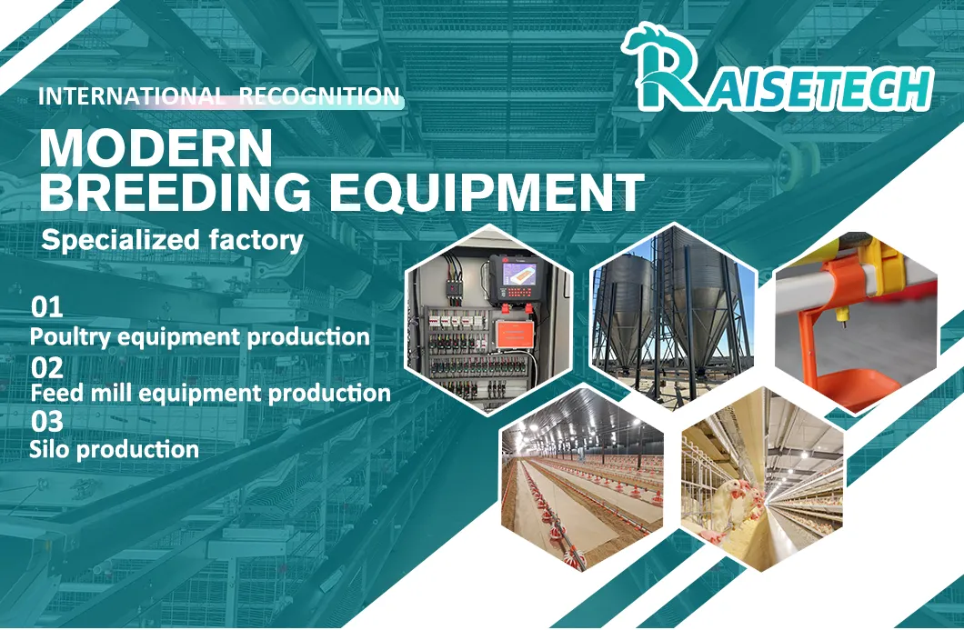 Customizable and Affordable Chicken House Automatic Nipple Water/Drinking Line for Broilers/Layers Hen/Breeders