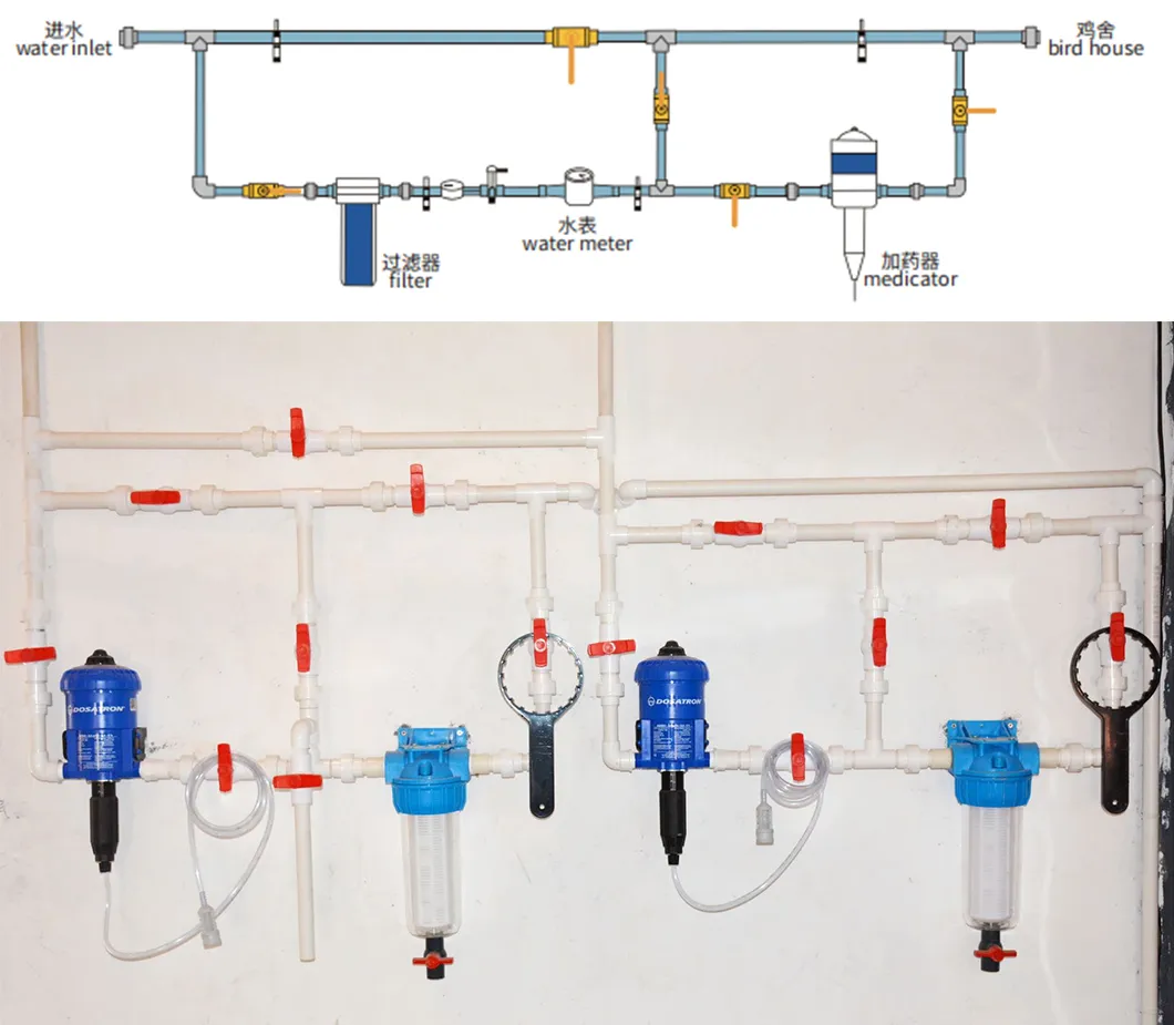 Customizable and Affordable Chicken House Automatic Nipple Water/Drinking Line for Broilers/Layers Hen/Breeders