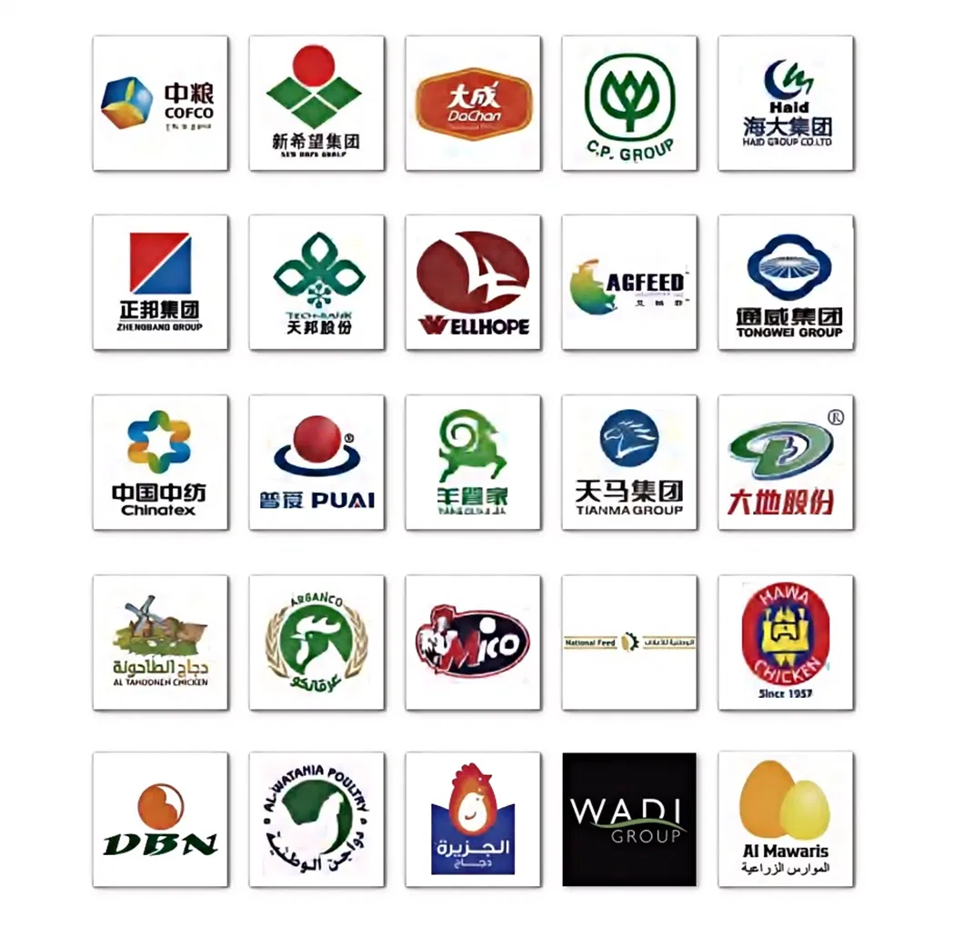 Customizable and Affordable Chicken House Automatic Nipple Water/Drinking Line for Broilers/Layers Hen/Breeders