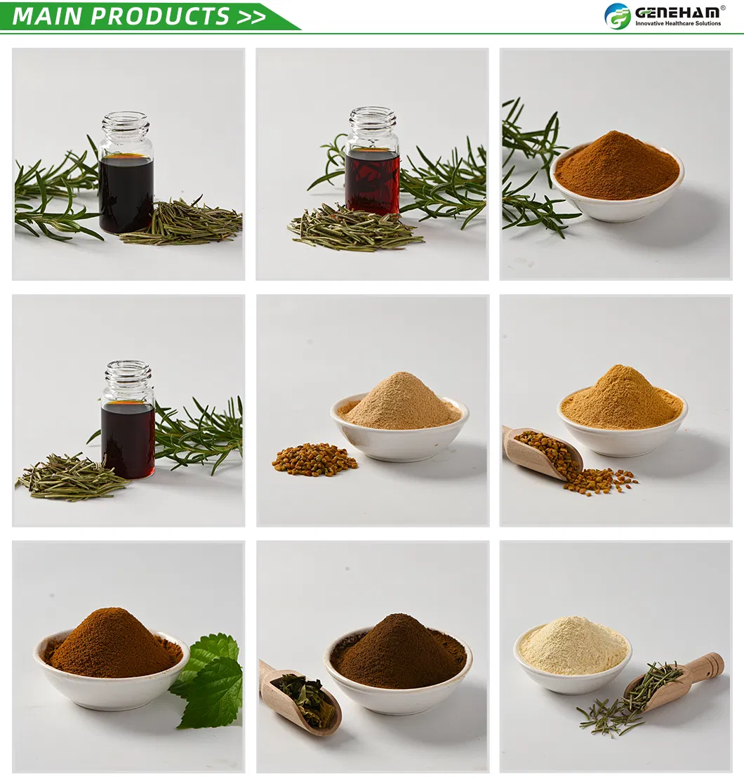 Organic Rosemary Extract for Natural Supplements and Wellness