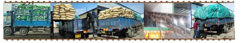 Agriculture Fertilizer Organic Soluble Amino Acid Plant Source