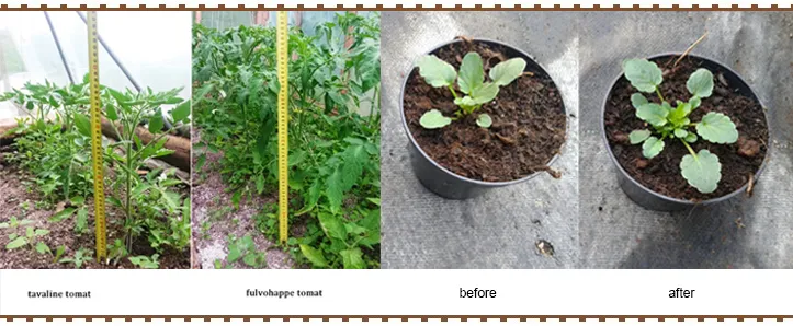 Agriculture Fertilizer Organic Soluble Amino Acid Plant Source