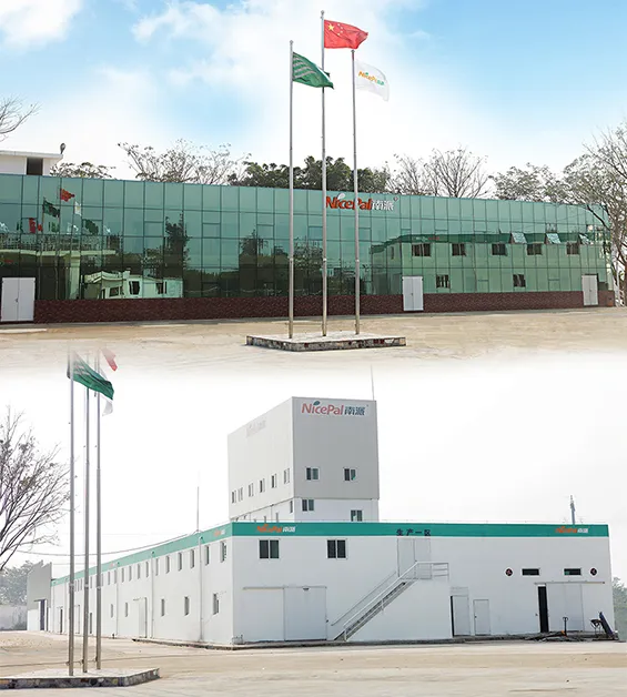 Bulk Supply SD Mango Powder